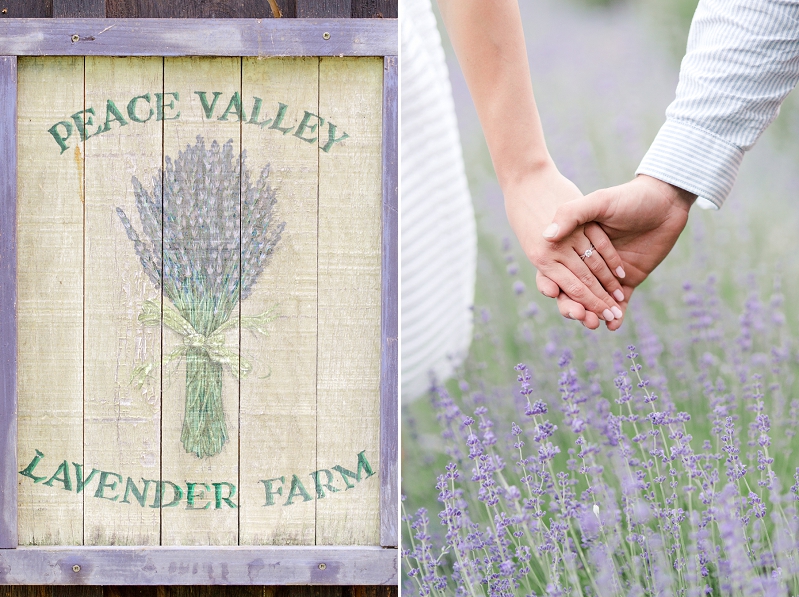 Pennsylvania-Lavender-Farm-Engagement-by-Adrienne-Matz-Photography_0005.jpg