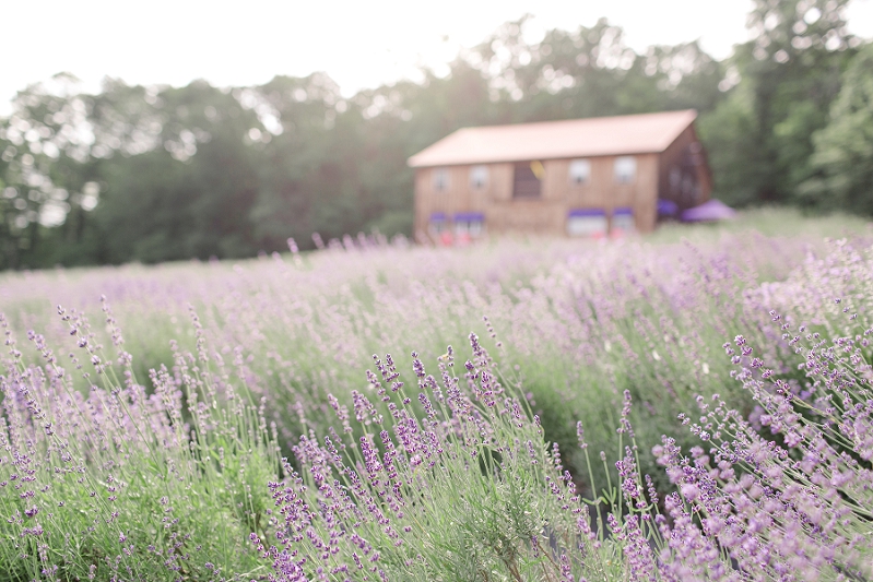 Pennsylvania-Lavender-Farm-Engagement-by-Adrienne-Matz-Photography_0022.jpg
